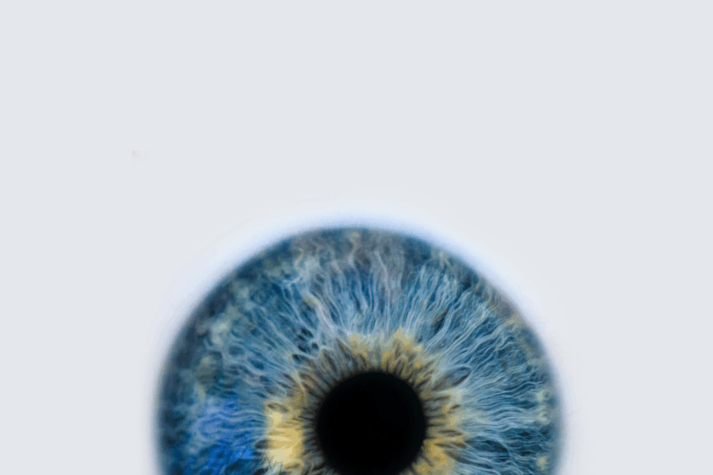 Integral Eye Movement Therapy Den Bosch